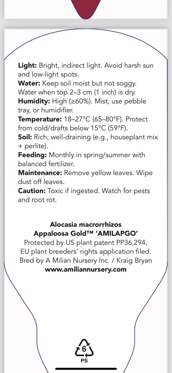 Appaloosa Gold™ Care Instructions